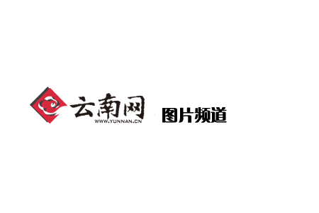 云南网社会频道