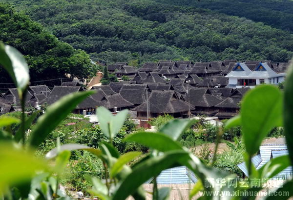 基诺族山寨风情[多图]