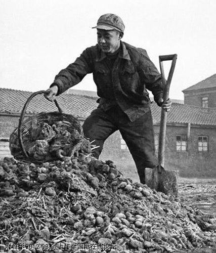 标签:雷锋+生活照