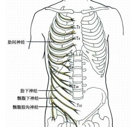 1c6f6502e964115cb2ea47.jpg