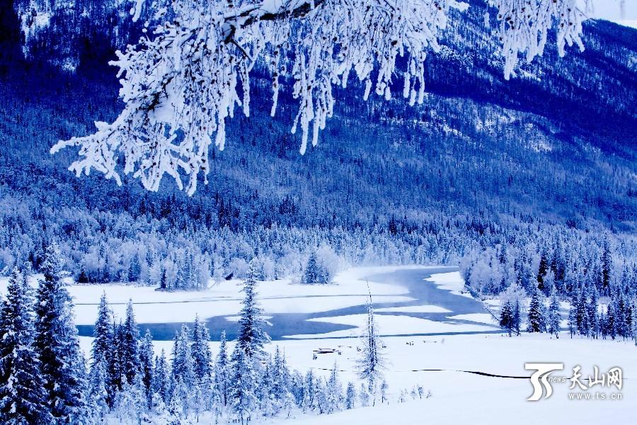 新疆阿勒泰地区公布“最美雪乡”靓照 新疆阿勒泰地区公布“最美雪乡”靓照