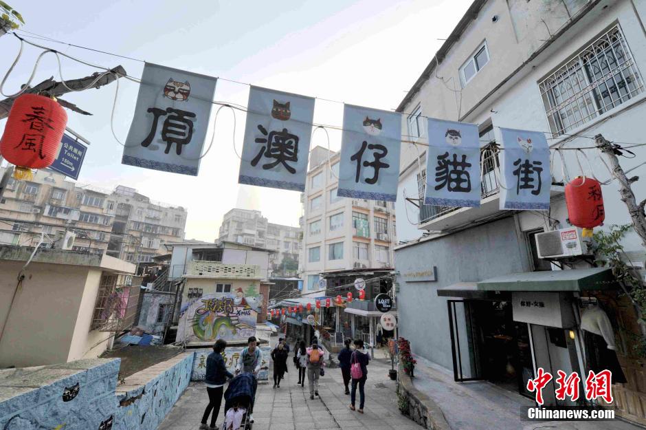 厦门现猫咪文化街 萌宠卡通形象吸睛 厦门现猫咪文化街 萌宠卡通形象吸睛