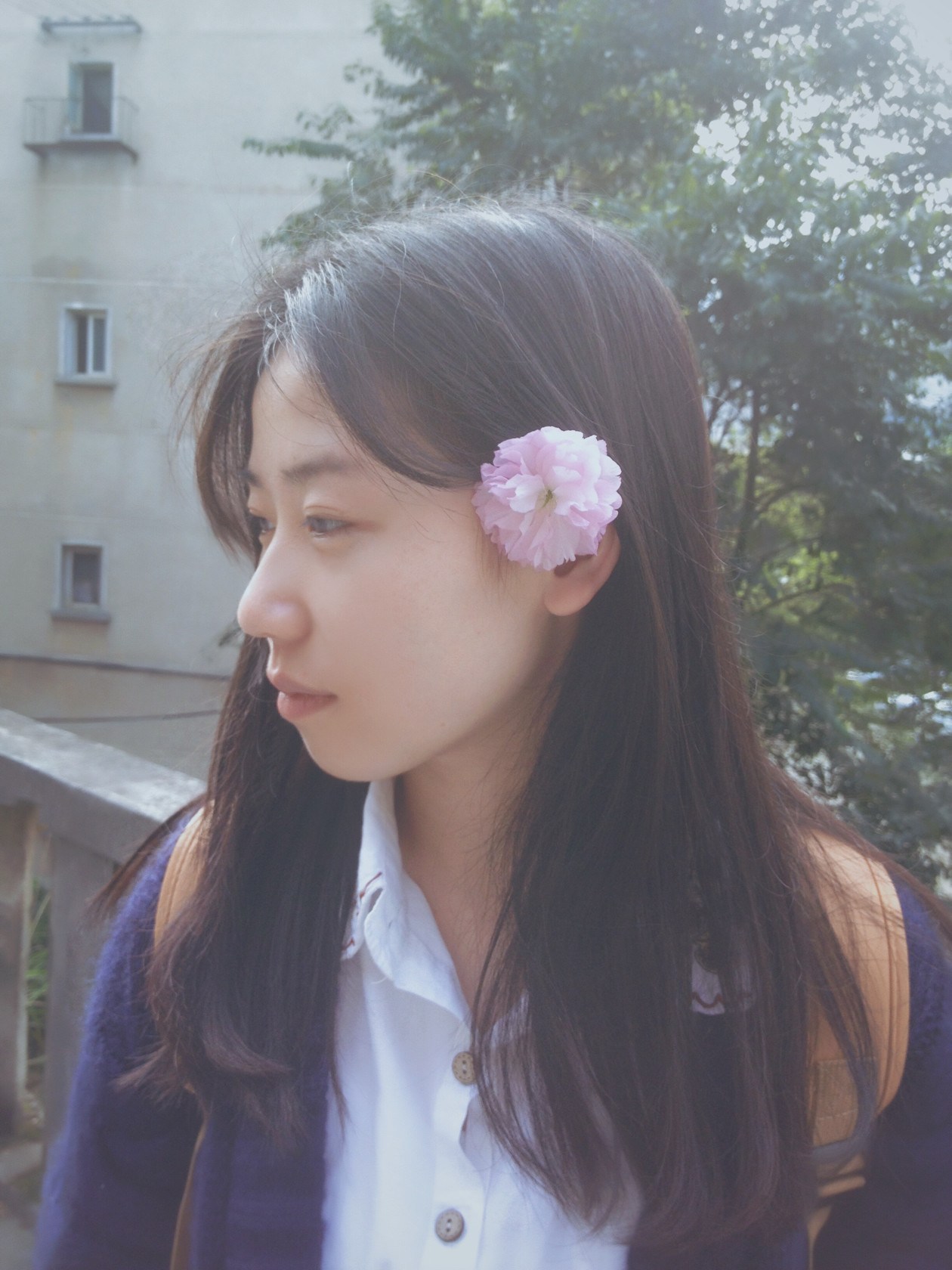 手机拍花与人:<em>那些花儿</em>与<em>美少女</em>美少年_云南网