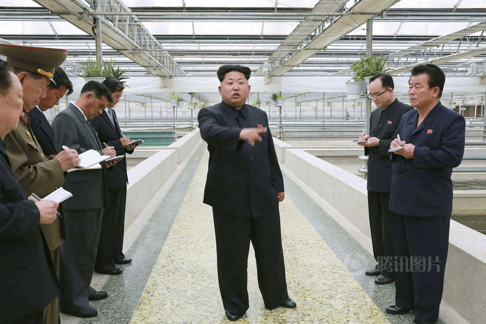 <em>32岁</em>金正恩头顶已现<em>白发</em>_云南网