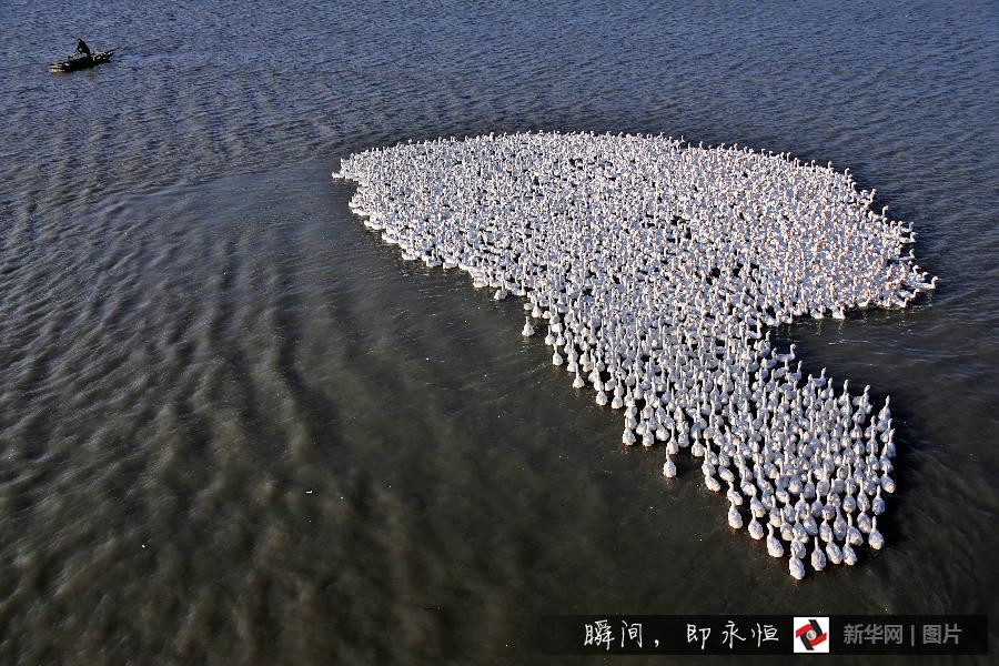 #(美丽中国)(8)秋天的魔幻衣橱