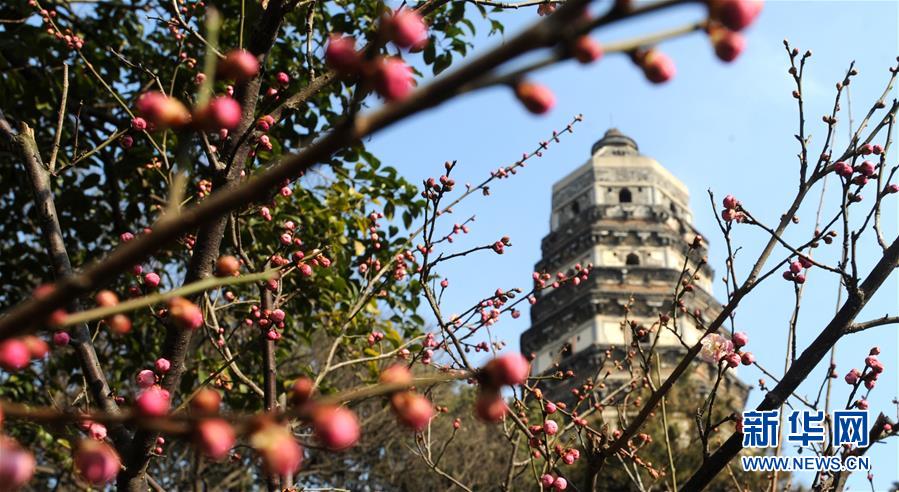 #（环境）（7）花开“春天里”
