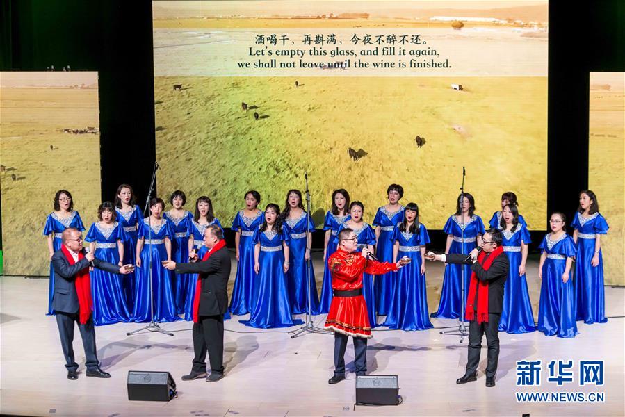 （XHDW）瑞典中国学生学者举办春节联欢会