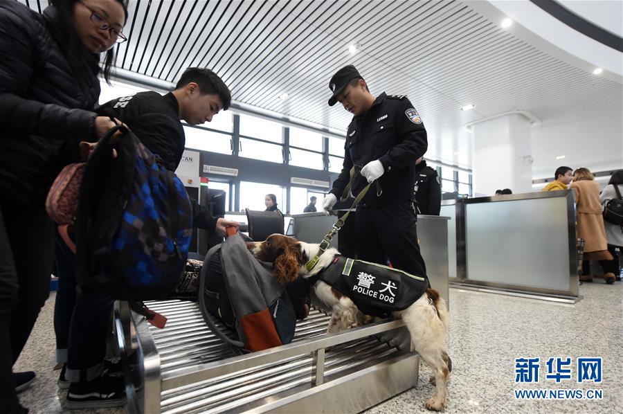 （关注春运）（2）重庆：警犬助阵保平安