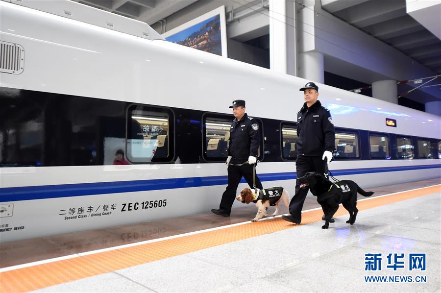 （关注春运）（3）重庆：警犬助阵保平安