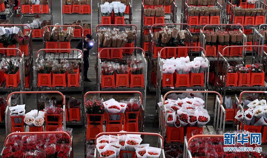 （社会）（10）云南大批鲜花上市 花卉市场迎交易高峰