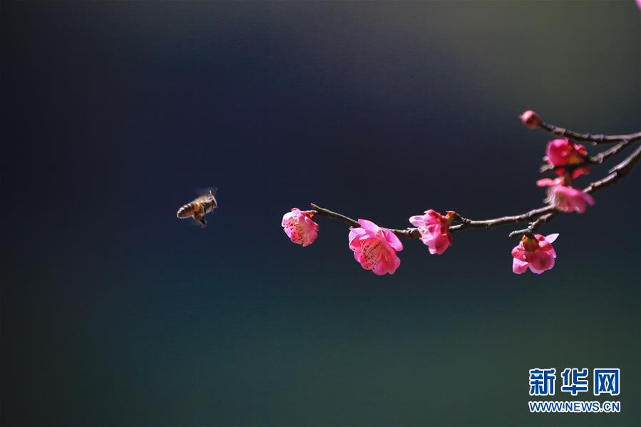 #（环境）（5）春暖花开