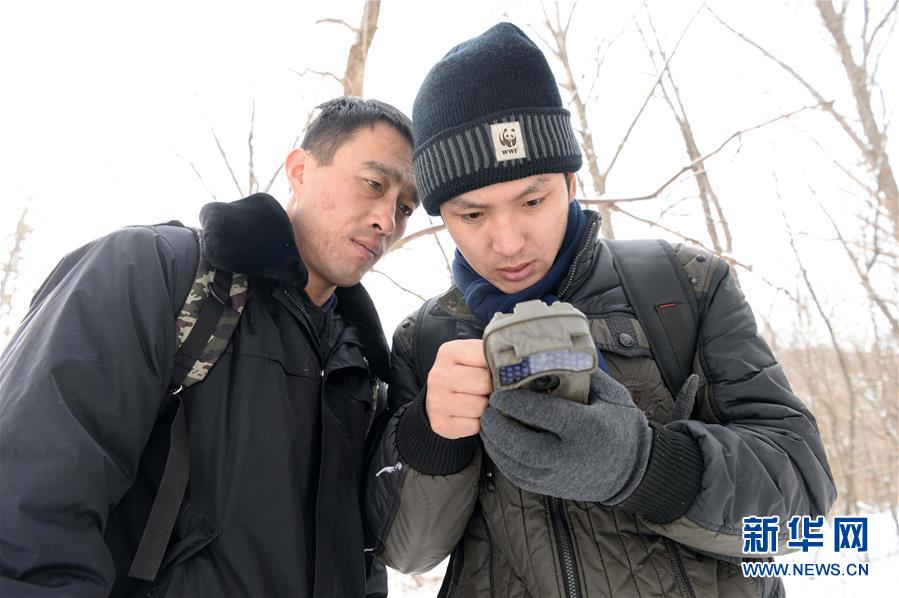 （社会）（13）偏向虎山行