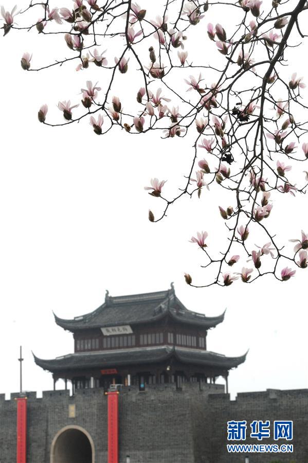 #（生态）（3）花开春来到 
