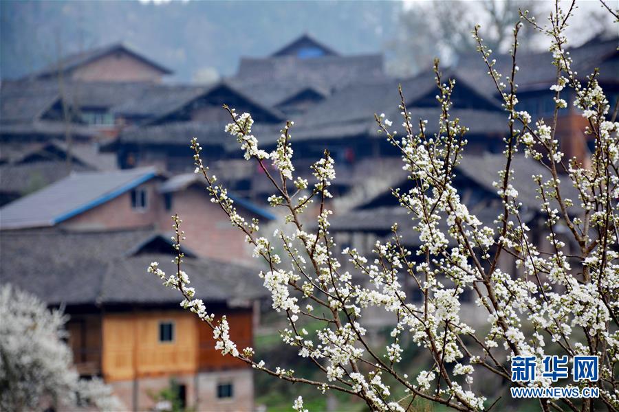 #（生态）（5）花开春来到 