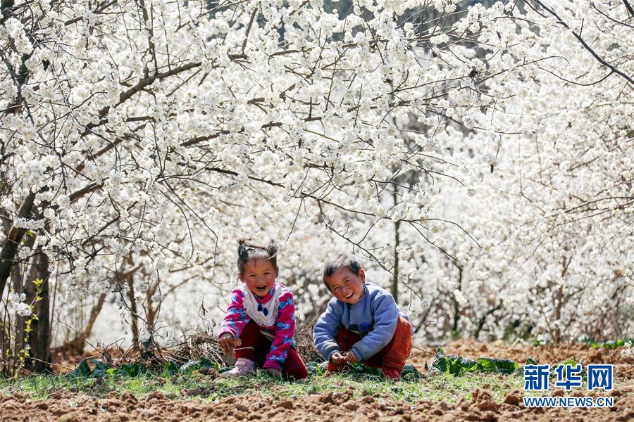 #（生态）（7）花开春来到