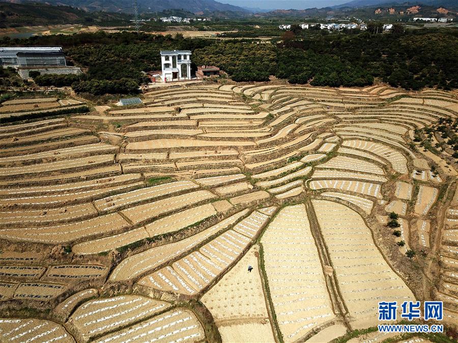 （美丽中国）（3）飞阅百色早春瓜园