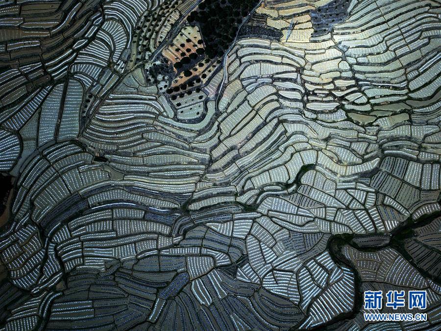 （美丽中国）（5）飞阅百色早春瓜园