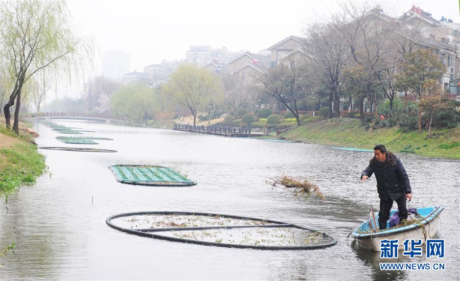 #（环境）（3）江苏扬州：绿化河道忙
