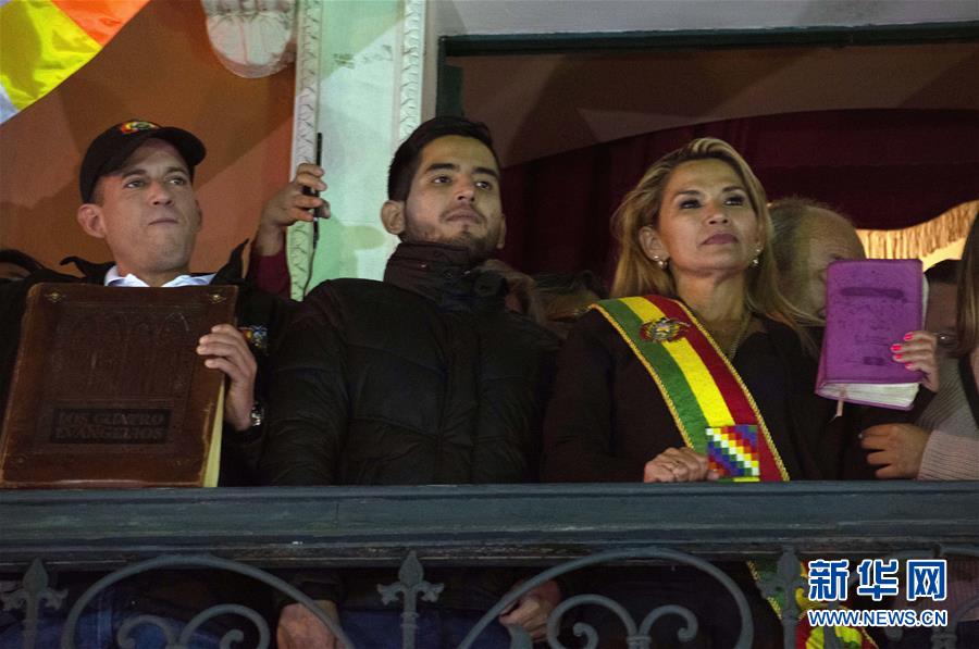 阿涅斯宣布就任玻利维亚临时总统