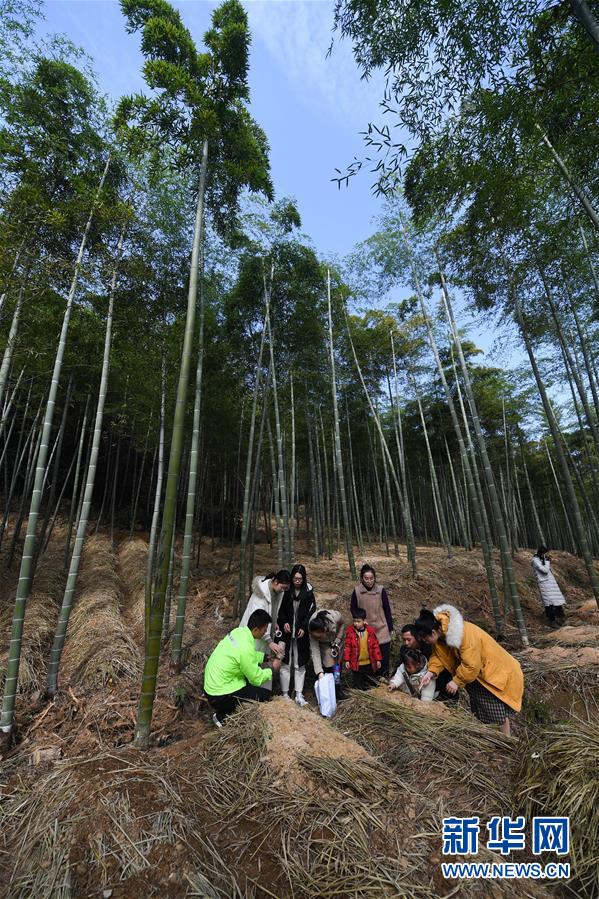 特色研学基地助力美丽乡村文旅发展