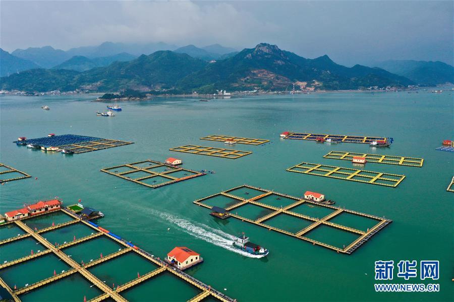 这是6月3日拍摄的福建省宁德市三都澳海域升级改造后的渔排养殖区(无