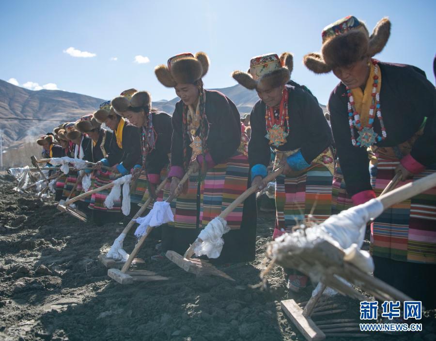 春耕之歌唱响西藏民主改革第一村