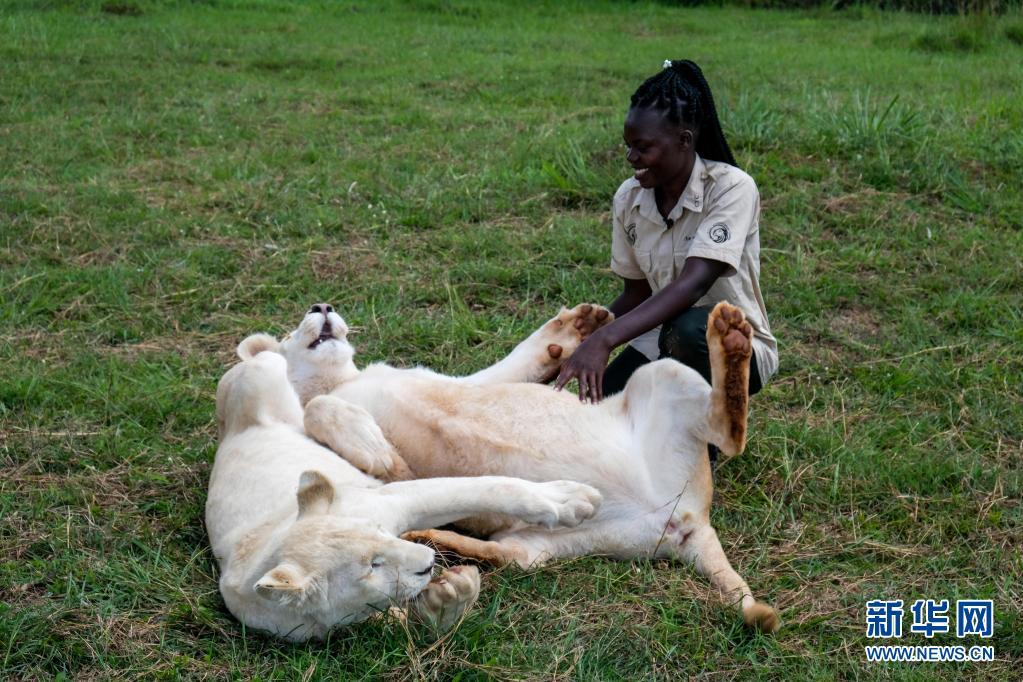 乌干达青年倡导人类与野生动物和谐相处