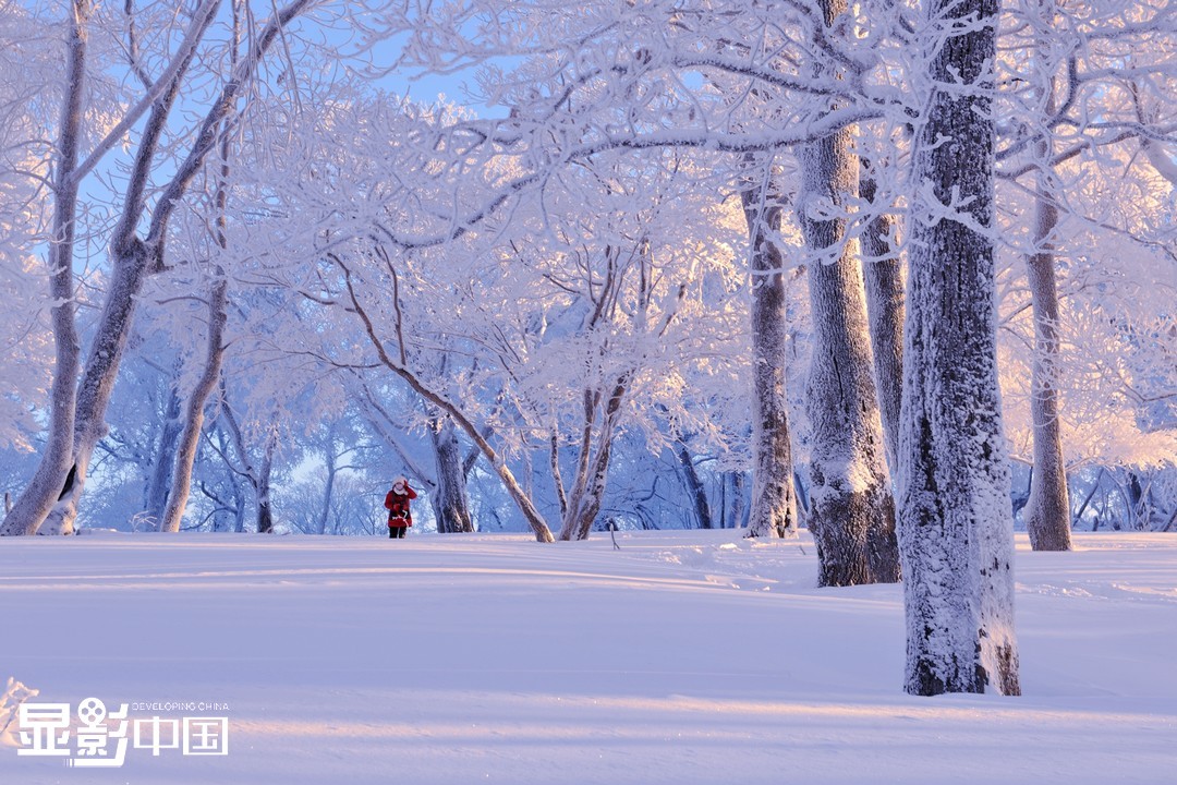 东北大雪 美景图片